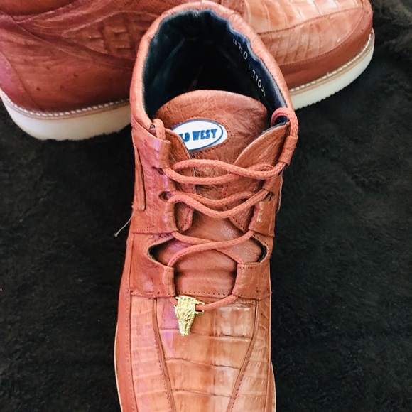 COPY - Gators - Picture 5 of 8